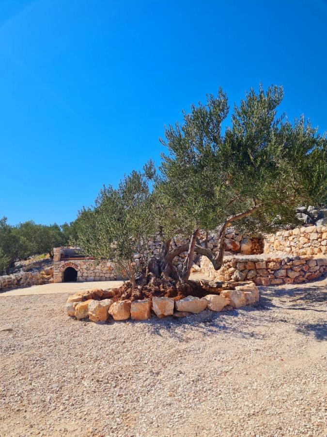 Luxury Stone House In A Nature Park *